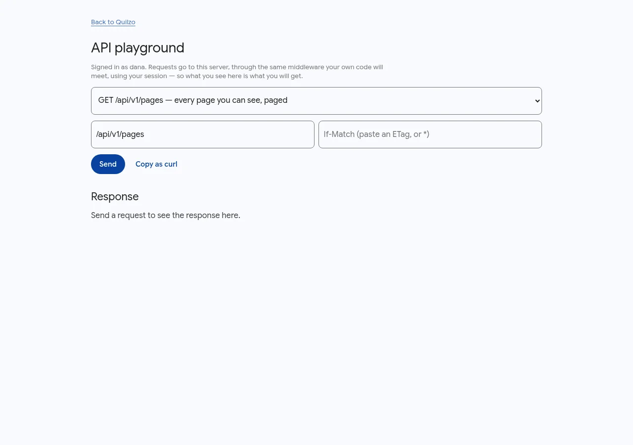 The API playground in the admin